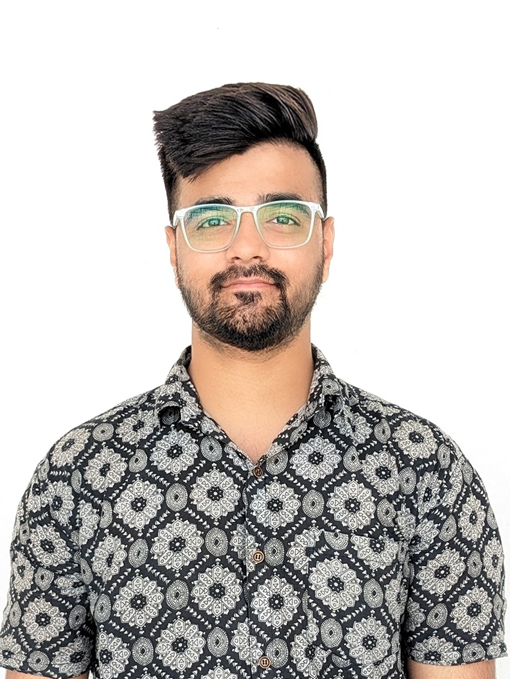 Salesforce Developer